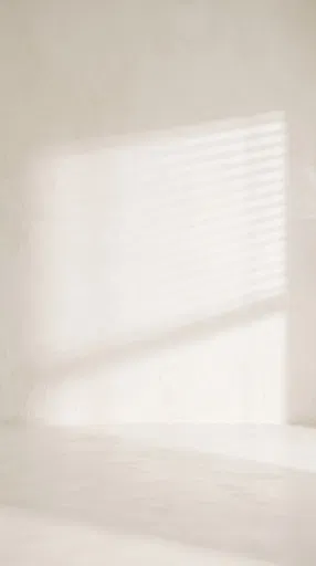 Minimalist Plaster Wall With Blind Shadows