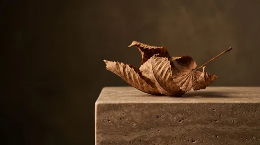 Dry Chestnut Leaf on Travertine Plinth