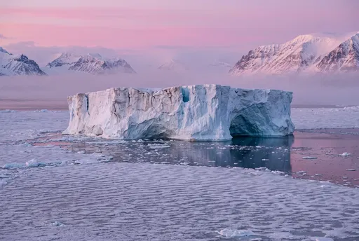 Tabular Iceberg in Magenta Alpenglow