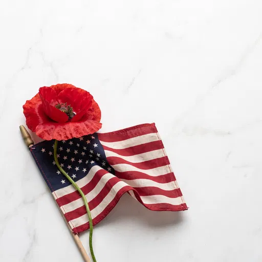 Red Poppy on Small American Flag
