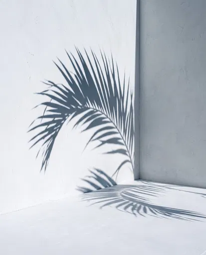 Minimalist White Corner With Palm Shadow