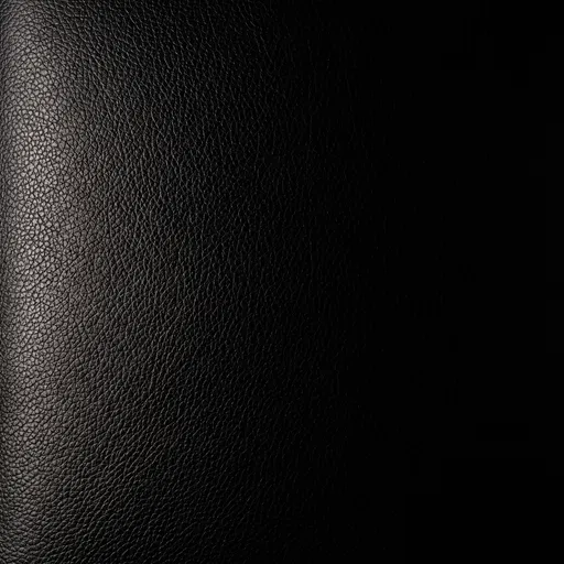 Black Pebble Leather Background Plate