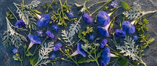 Blue Flowers and Foliage on Slate