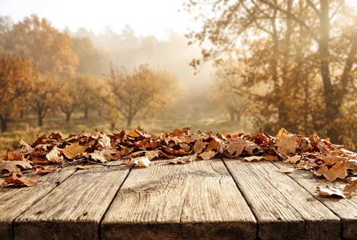 Rustic Wood Table in Autumn Orchard