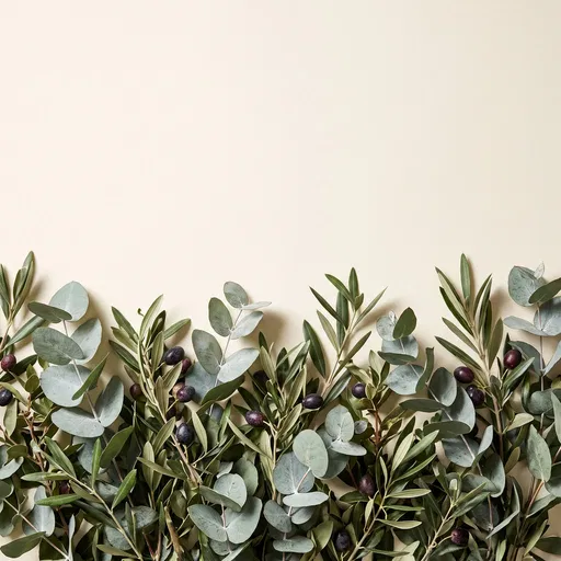Eucalyptus and Olive Branches Border