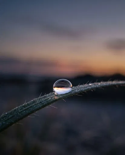 Dewdrop on Grass Refracting Sunset Sky