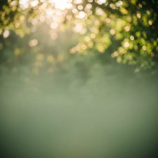 Sunlit Green Foliage Bokeh Background