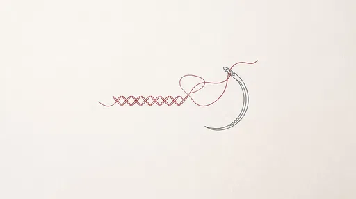 Minimalist Curved Needle Cross-Stitch Line Drawing