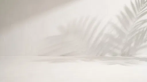 Minimal Ivory Wall With Palm Shadows