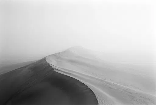 Minimalist Monochrome Sand Dune in Fog