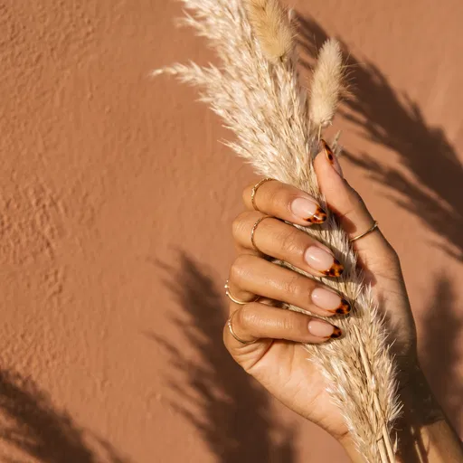 Hand With Tortoiseshell French Manicure
