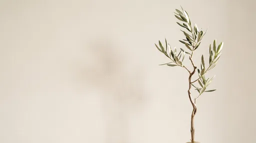 Minimalist Olive Branch on Cream Background