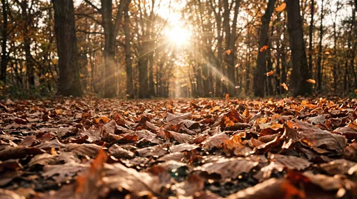 Sunlit Autumn Forest Path Covered in Leaves