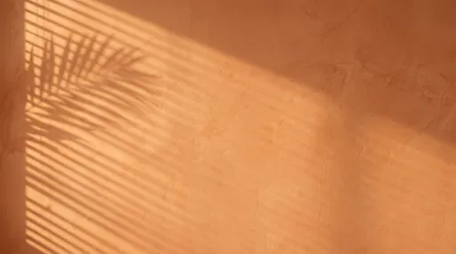 Terracotta Wall With Palm and Blind Shadows