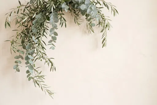 Hanging Olive and Eucalyptus Branches on Cream