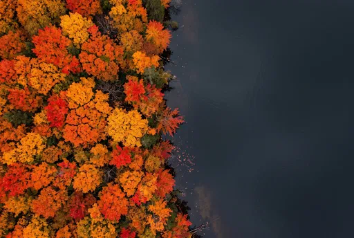 Aerial View of Autumn Forest and Lake