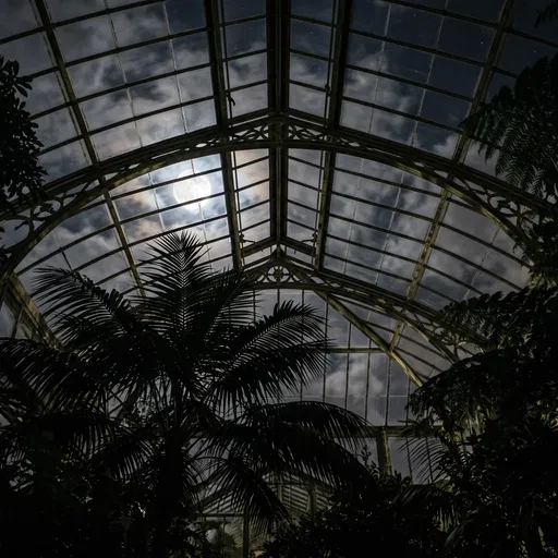Moonlight Through Glass Conservatory Roof
