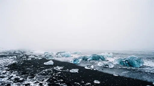 Blue Glacial Ice on Foggy Black Beach