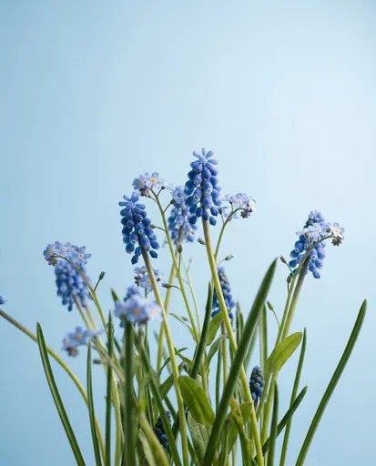 Blue Grape Hyacinths and Forget-Me-Nots