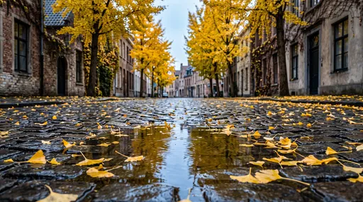 Wet Autumn Cobblestone Street With Puddle