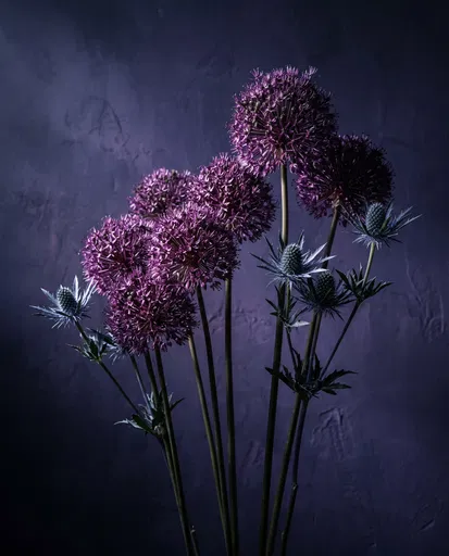 Moody Purple Allium and Blue Thistle Flowers