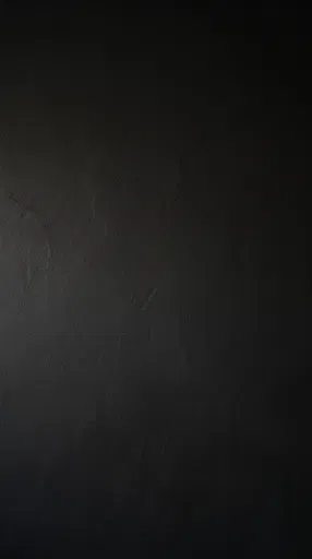 Matte Black Plastered Wall Texture