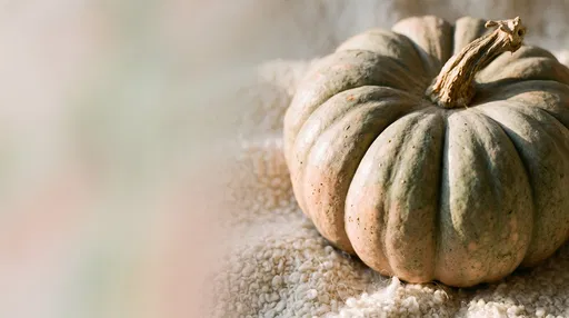 Sage Green Heirloom Pumpkin on Cream Boucle