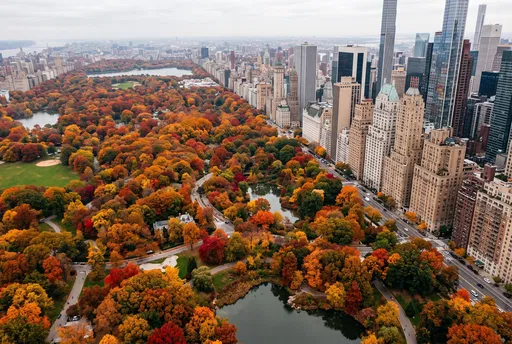 Aerial View of Central Park in Autumn
