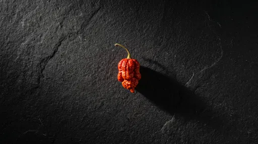Single Red Ghost Pepper on Dark Slate