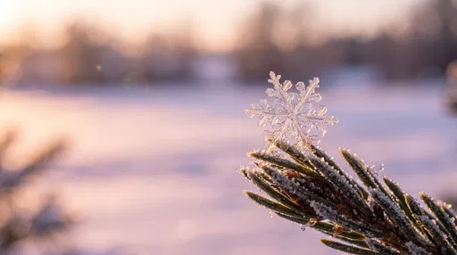 Macro Snowflake on Frosted Pine Branch