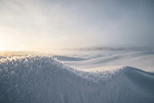 Backlit Hoarfrost on Winter Snow Dunes