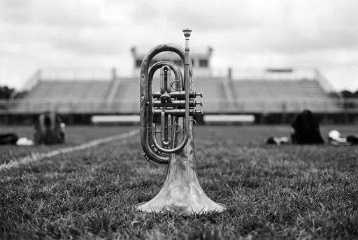 Black and White Brass Instrument on Field