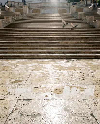 Monumental Stone Steps with Flying Pigeons