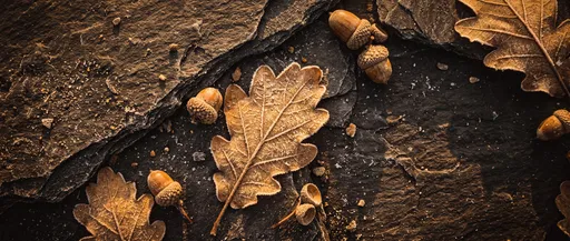 Frosted Oak Leaves and Acorns on Slate