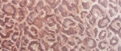 Embossed Dusty Rose Leopard Velvet Texture
