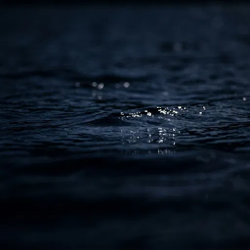 Dark Midnight Water Surface With Moonlight Reflections