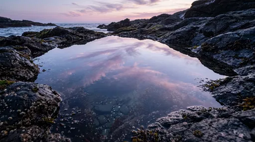 Tide Pool Reflecting Pastel Dusk Sky