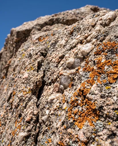 Granite Boulder With Quartz And Lichen