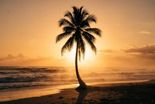 Palm Tree Silhouette at Golden Sunset