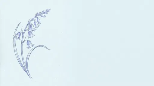 Delicate Bluebell Sketch with Copy Space