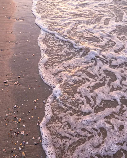 Ocean Foam On Wet Sand At Sunset