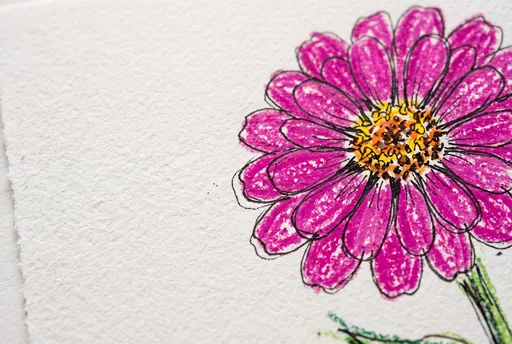 Magenta Zinnia Crayon and Ink Sketch