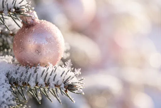 Frosted Pink Ornament on Snowy Branch