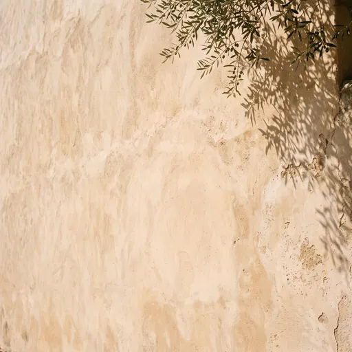 Sunlit Mediterranean Wall With Olive Shadows