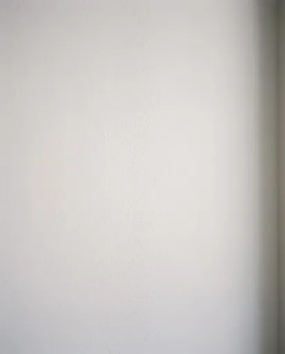 Minimalist Matte White Painted Wall Texture