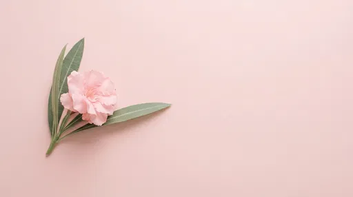 Pink Oleander Blossom on Pastel Background