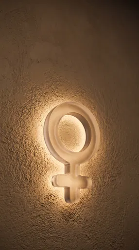 Backlit Frosted Glass Female Symbol on Wall
