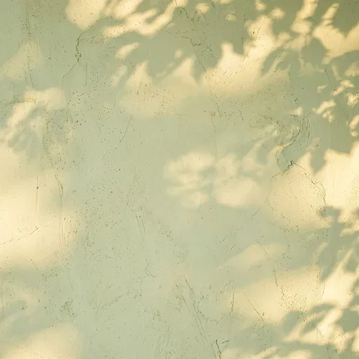 Sunlit Pistachio Plaster Wall Texture