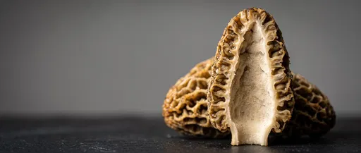 Halved Morel Mushroom Cross Section