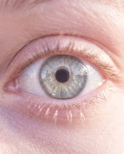 Macro Close-Up of Gray-Green Human Eye